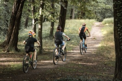 Dzieci jadą leśną ścieżką wśród drzew